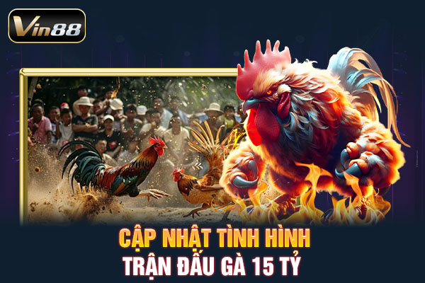 Cập nhật tình hình trận đấu gà 15 tỷ