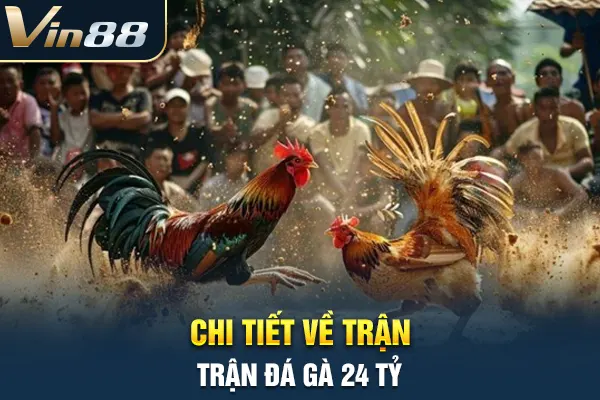 Chi tiết về trận đá gà 24 tỷ