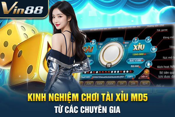 Kinh nghiệm chơi tài xỉu MD5 từ các chuyên gia