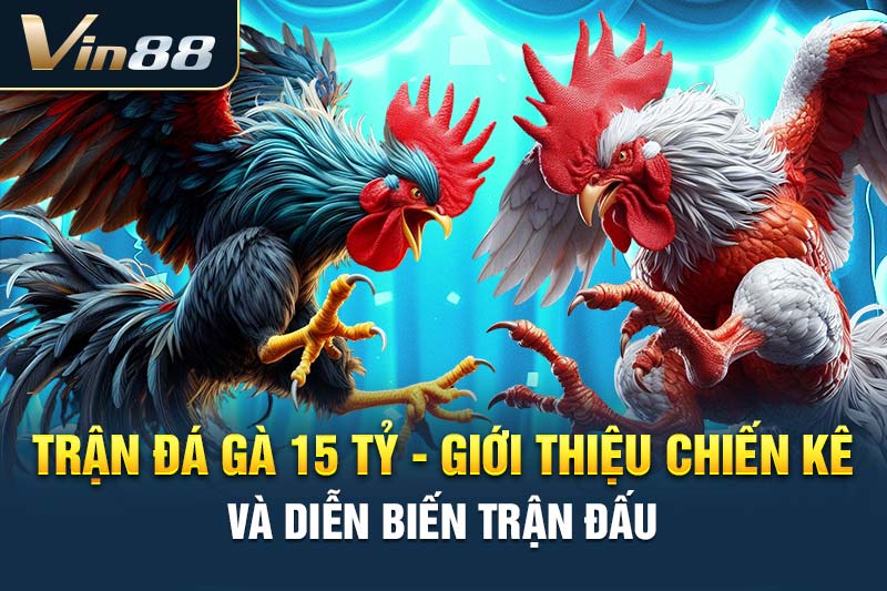 Trận Đá Gà 15 Tỷ - Giới Thiệu Chiến Kê Và Diễn Biến Trận Đấu