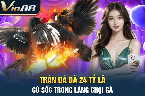 Trận đá gà 24 tỷ là cú sốc trong làng chọi gà